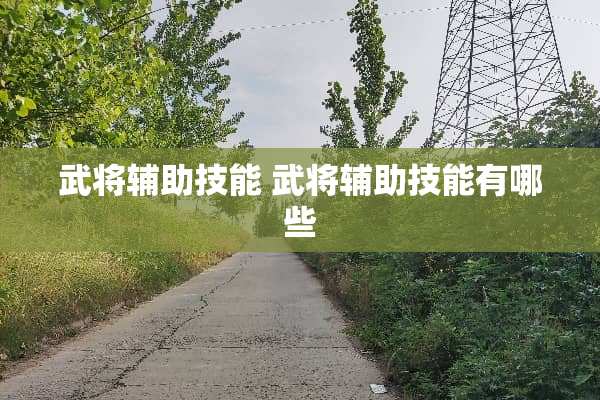 武将辅助技能 武将辅助技能有哪些