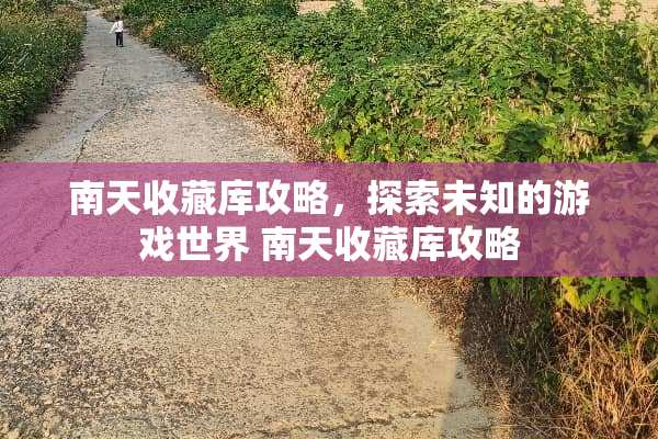 南天收藏库攻略，探索未知的游戏世界 南天收藏库攻略