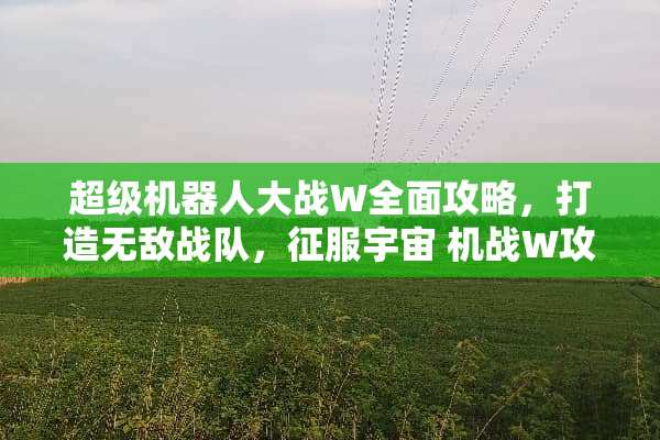 超级机器**战W全面攻略，打造无敌战队，征服宇宙 机战W攻略游戏