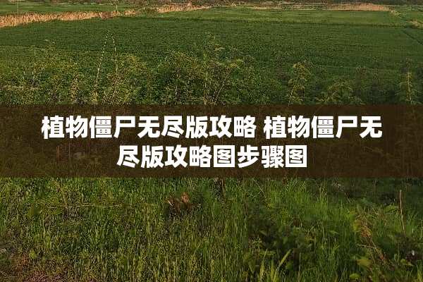 植物僵尸无尽版攻略 植物僵尸无尽版攻略图步骤图