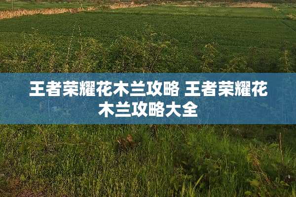 王者荣耀花木兰攻略 王者荣耀花木兰攻略大全