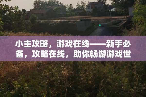 小主攻略，游戏在线——新手必备，攻略在线，助你畅游游戏世界 小主攻略游戏在线