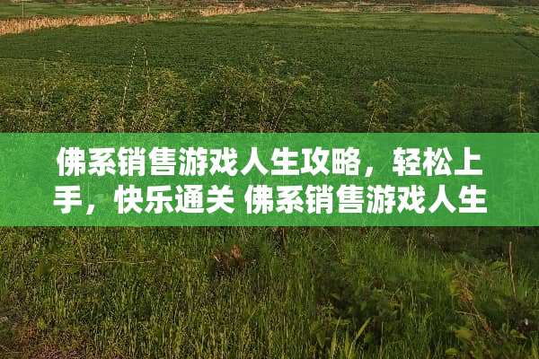 佛系销售游戏人生攻略，轻松上手，快乐通关 佛系销售游戏人生攻略