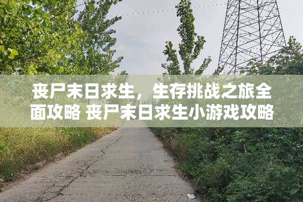 丧尸末日求生，生存挑战之旅全面攻略 丧尸末日求生小游戏攻略