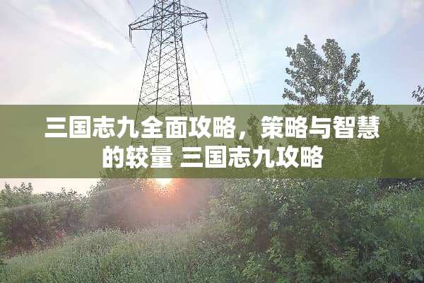 三国志九全面攻略，策略与智慧的较量 三国志九攻略