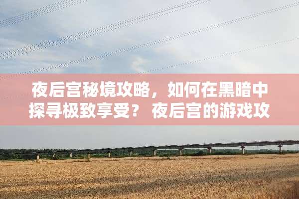 夜后宫秘境攻略，如何在黑暗中探寻极致享受？ 夜后宫的游戏攻略
