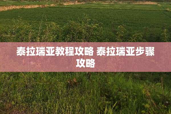 泰拉瑞亚教程攻略 泰拉瑞亚步骤攻略