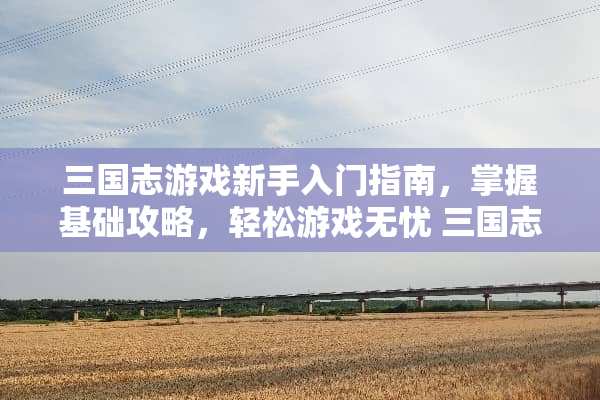 三国志游戏新手入门指南，掌握基础攻略，轻松游戏无忧 三国志游戏新手攻略