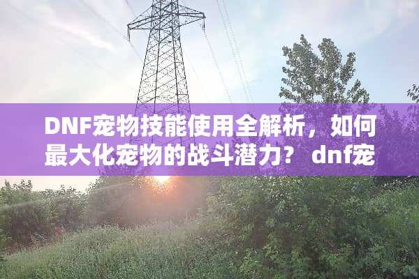 DNF宠物技能使用全解析，如何最大化宠物的战斗潜力？ dnf宠物技能怎么用