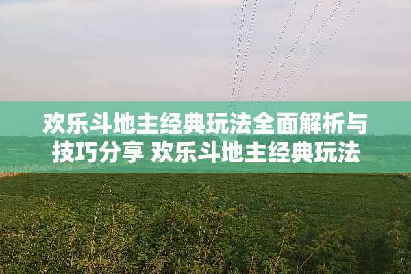 欢乐***经典玩法全面解析与技巧分享 欢乐***经典玩法