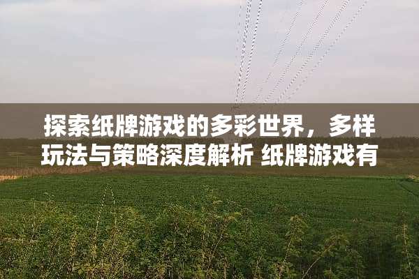 探索纸牌游戏的多彩世界，多样玩法与策略深度解析 纸牌游戏有哪些玩法