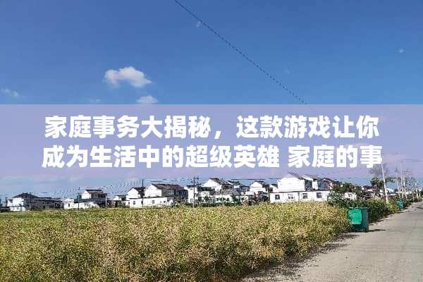 家庭事务大揭秘，这款游戏让你成为生活中的超级英雄 家庭的事务游戏攻略