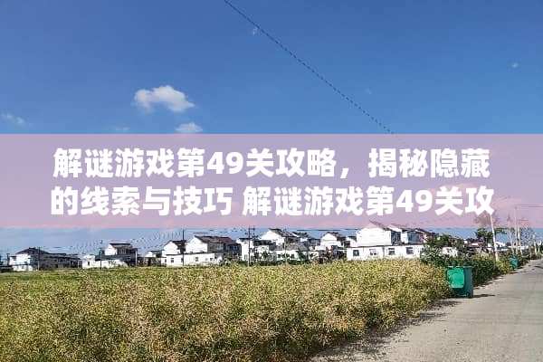 解谜游戏第49关攻略，揭秘隐藏的线索与技巧 解谜游戏第49关攻略