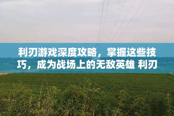 利刃游戏深度攻略，掌握这些技巧，成为战场上的无敌英雄 利刃游戏攻略