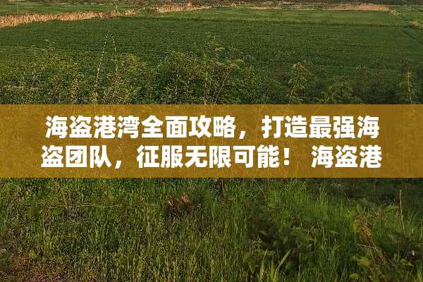 海盗港湾全面攻略，打造最强海盗团队，征服无限可能！ 海盗港湾攻略