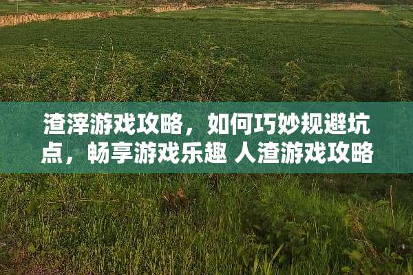 渣滓游戏攻略，如何巧妙规避坑点，畅享游戏乐趣 **游戏攻略