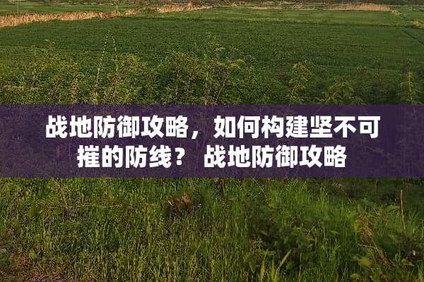 战地防御攻略，如何构建坚不可摧的防线？ 战地防御攻略