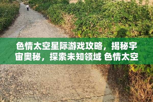 色情太空星际游戏攻略，揭秘宇宙奥秘，探索未知领域 色情太空星际游戏攻略