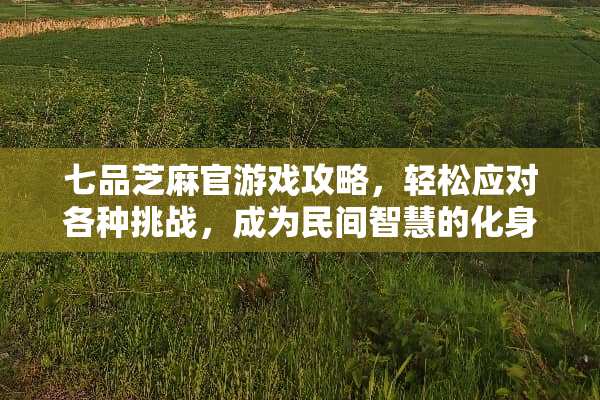 七品芝麻官游戏攻略，轻松应对各种挑战，成为民间智慧的化身 七品芝麻官游戏攻略