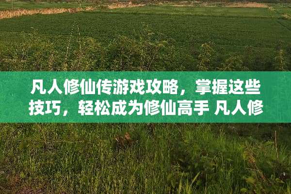 凡人修仙传游戏攻略，掌握这些技巧，轻松成为修仙高手 凡人修仙传说游戏攻略