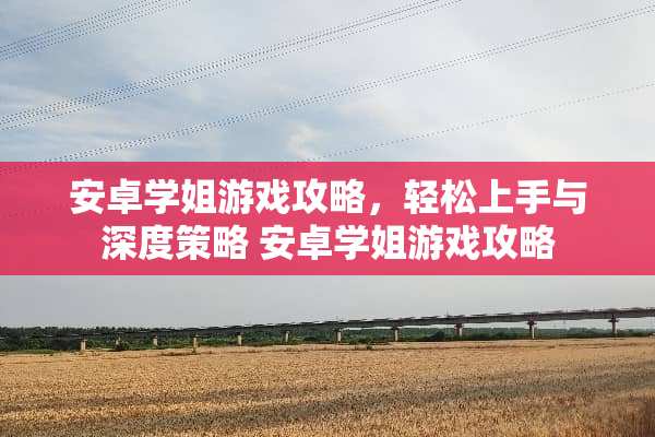 安卓学姐游戏攻略，轻松上手与深度策略 安卓学姐游戏攻略