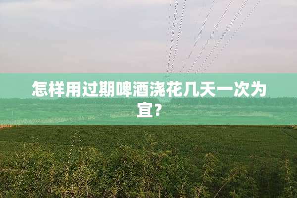 怎样用过期啤酒浇花几天一次为宜？