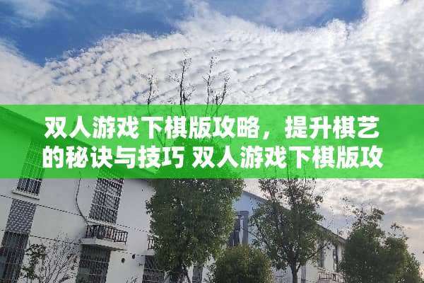双人游戏下棋版攻略，提升棋艺的秘诀与技巧 双人游戏下棋版攻略