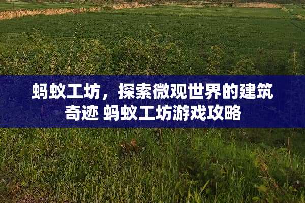 蚂蚁工坊，探索微观世界的建筑奇迹 蚂蚁工坊游戏攻略