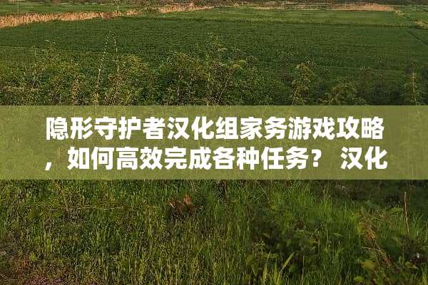 **守护者汉化组家务游戏攻略，如何高效完成各种任务？ 汉化组家务游戏攻略