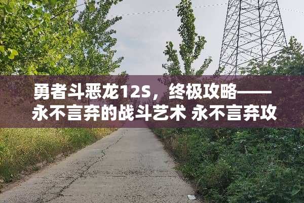 勇者斗恶龙12S，终极攻略—— 永不言弃的战斗艺术 永不言弃攻略