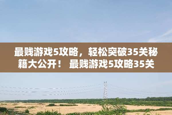 最贱游戏5攻略，轻松突破35关秘籍大公开！ 最贱游戏5攻略35关