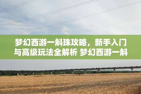 梦幻西游一斛珠攻略，新手入门与高级玩法全解析 梦幻西游一斛珠攻略