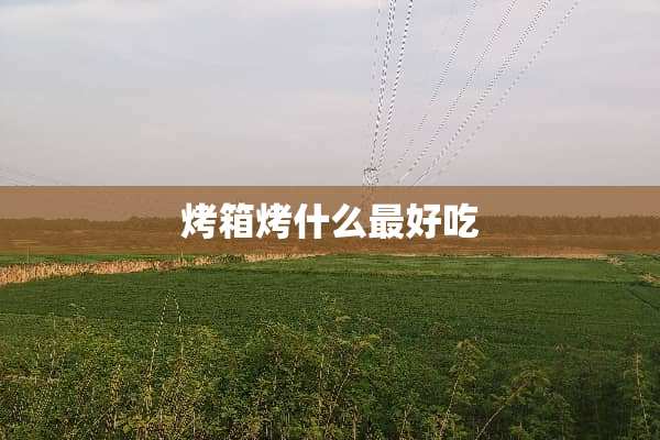 烤箱烤什么最好吃