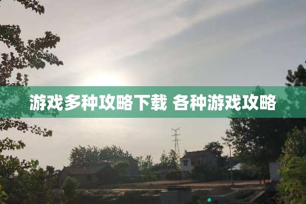 游戏多种攻略下载 各种游戏攻略
