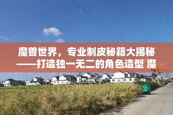 魔兽世界，专业制皮秘籍大揭秘——打造独一无二的角色造型 魔兽制皮攻略
