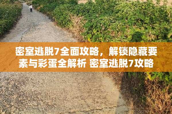 密室逃脱7全面攻略，解锁隐藏要素与彩蛋全解析 密室逃脱7攻略