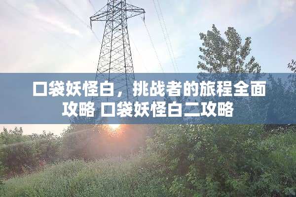口袋妖怪白，挑战者的旅程全面攻略 口袋妖怪白二攻略