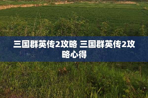 三国群英传2攻略 三国群英传2攻略心得