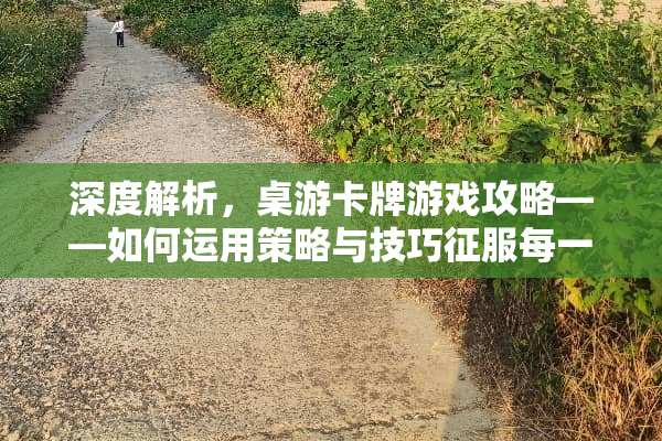 深度解析，桌游卡牌游戏攻略——如何运用策略与技巧征服每一局 桌游卡牌游戏攻略