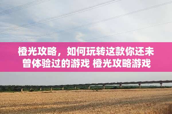 橙光攻略，如何玩转这款你还未曾体验过的游戏 橙光攻略游戏