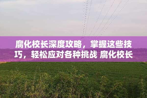 腐化校长深度攻略，掌握这些技巧，轻松应对各种挑战 腐化校长攻略