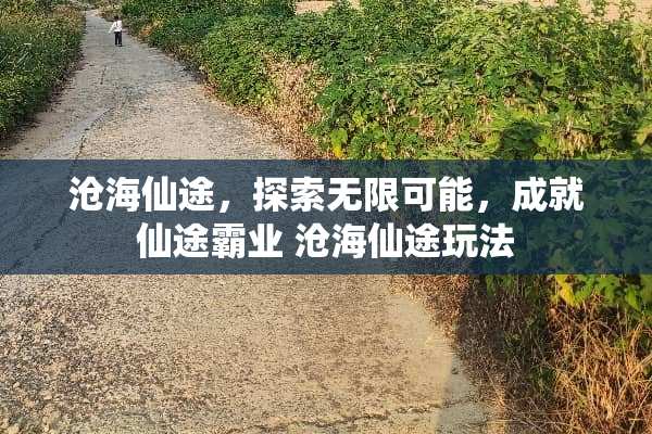 沧海仙途，探索无限可能，成就仙途霸业 沧海仙途玩法