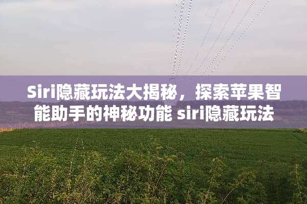 Siri隐藏玩法大揭秘，探索苹果智能助手的神秘功能 siri隐藏玩法