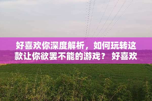 好喜欢你深度解析，如何玩转这款让你欲罢不能的游戏？ 好喜欢你游戏攻略