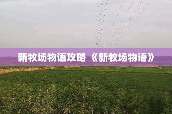 新牧场物语攻略 《新牧场物语》