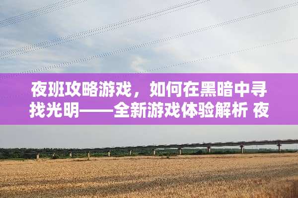 夜班攻略游戏，如何在黑暗中寻找光明——全新游戏体验解析 夜班攻略游戏