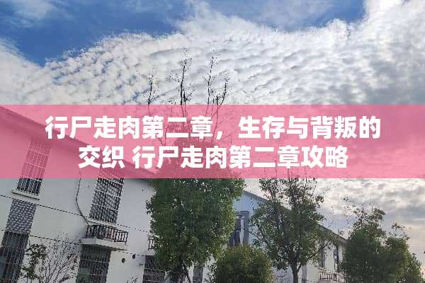 行尸走肉第二章，生存与背叛的交织 行尸走肉第二章攻略