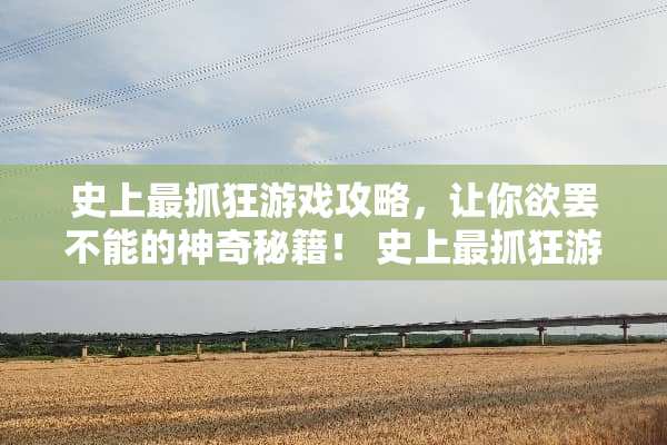 史上最抓狂游戏攻略，让你欲罢不能的神奇秘籍！ 史上最抓狂游戏攻略