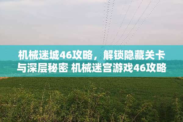 机械迷城46攻略，解锁隐藏关卡与深层秘密 机械迷宫游戏46攻略