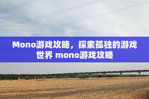 Mono游戏攻略，探索孤独的游戏世界 mono游戏攻略